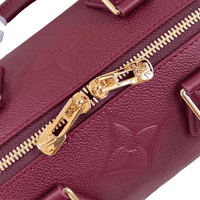 Louis Vuitton Speedy Bandoulière 25 Burgundy Tote Bag