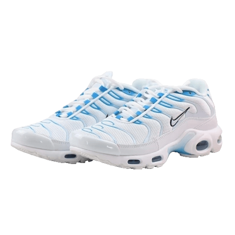 Nike Tn Air Max Plus “Blue Fury”