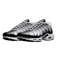 Nike Tn Air Max Plus 'Seafoam'