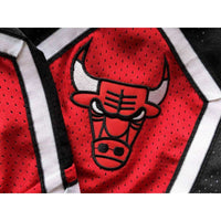 Chicago Bulls Nba Shorts Black