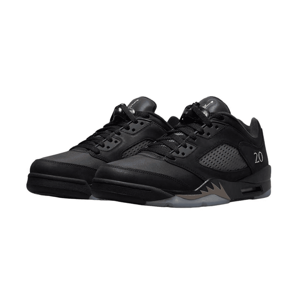 Jordan 5 Retro Low Wings