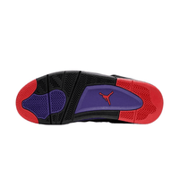 Air Jordan 4 Raptors