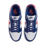 Nike Dunk Low USA
