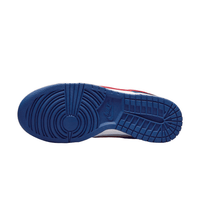 Nike Dunk Low USA
