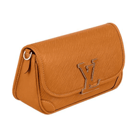 Louis Vuitton Buci Bag