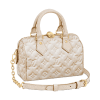 Louis Vuitton Speedy Bandoulière 20 Bag