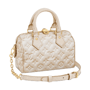 Louis Vuitton Speedy Bandoulière 20 Bag