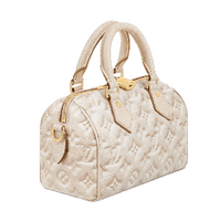 Louis Vuitton Speedy Bandoulière 20 Bag