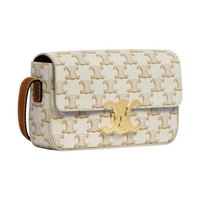 Celine Triomphe Shoulder Bag In Triomphe Canvas/Calfskin