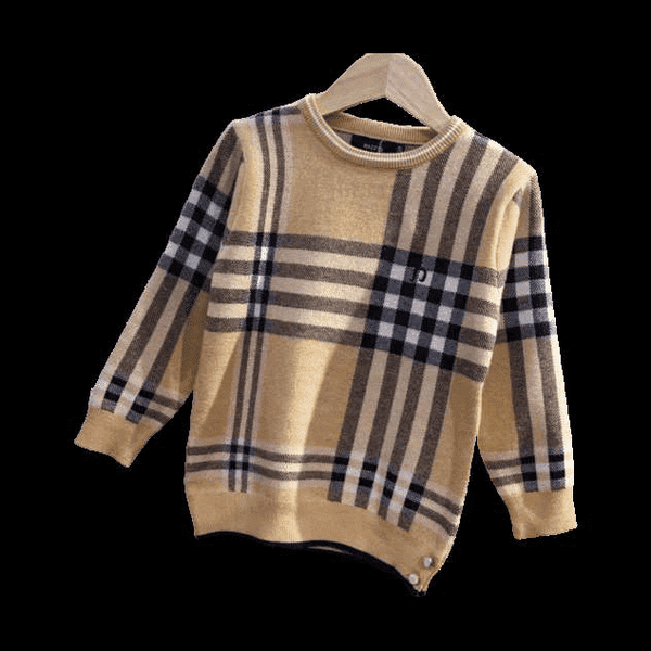 Burberry Sweater